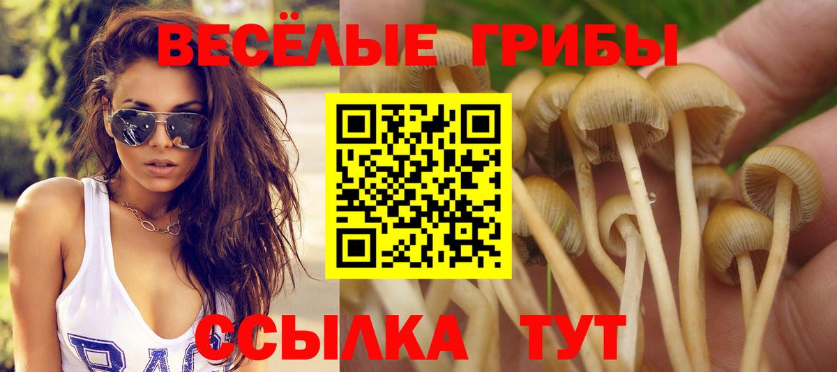 Галлюциногенные грибы MAGIC MUSHROOMS Люберцы